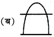 RBSE Class 6 Social Science Important Questions Geography Chapter 4 मानचित्र 2