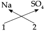 Maharashtra Board Class 9 Science Solutions Chapter 4 Measurement of Matter 41
