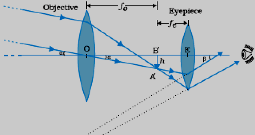 1. Draw a labelled ray diagram to obtain the real image formed by an ...